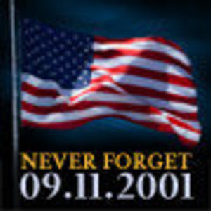 Meet your Posher, Dorothy